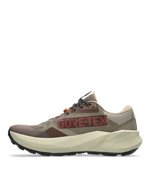 Asics Brown Trabuco 14 Gtx Trail Running Shoes for men