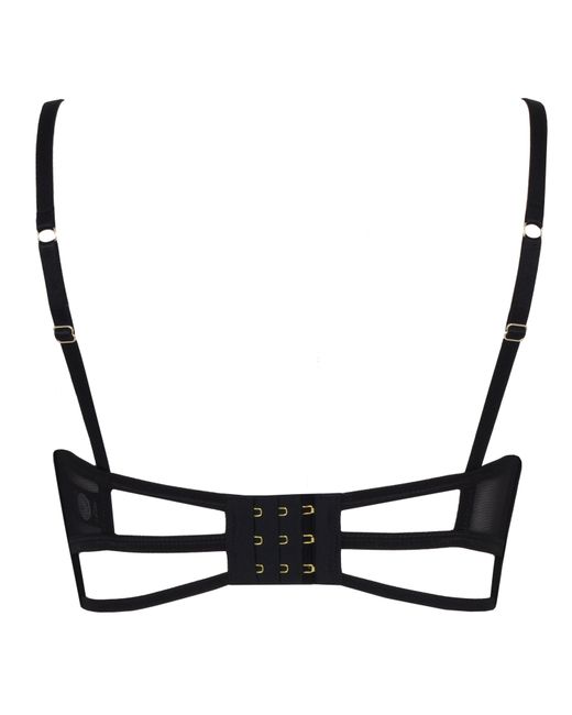 Bluebella Black Lumi Bra