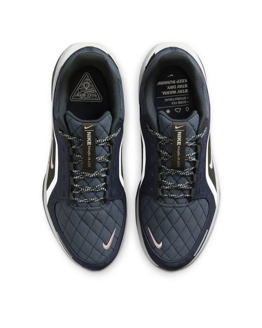 Nike Blue Winflo 11 Gore-Tex Weatherized Road Running Shoes