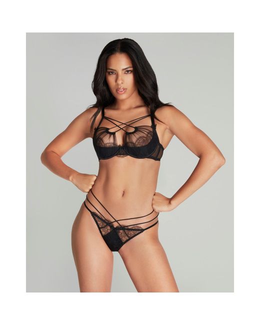 Agent Provocateur Brown Halley Full Brief