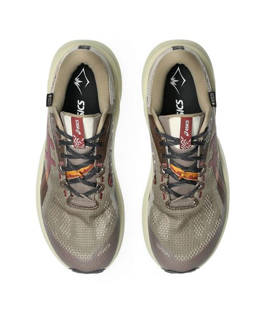 Asics Brown Trabuco 14 Gtx Trail Running Shoes for men
