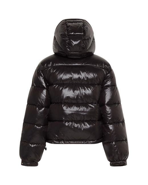 Calvin Klein Black Quilted Short Puffer Jacket