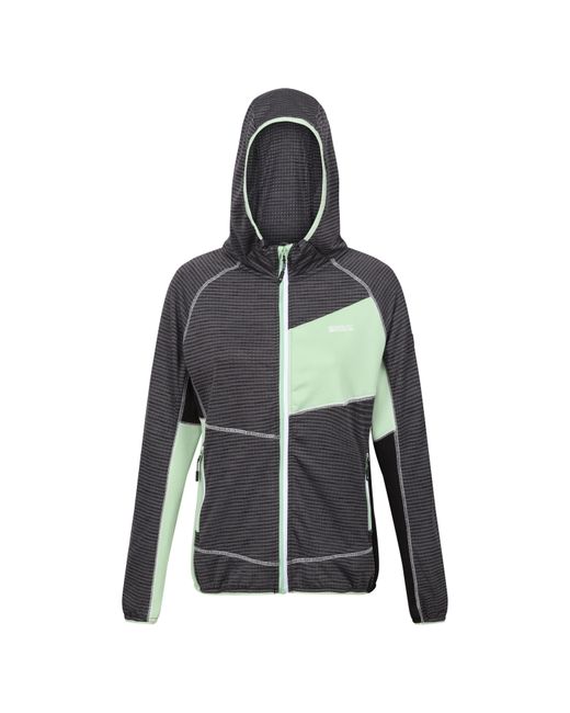 Regatta Gray Attare Water-Repellent Softshell Jacket