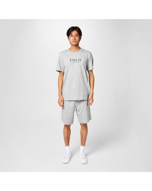 Polo Ralph Lauren Gray Box Logo T-Shirt for men