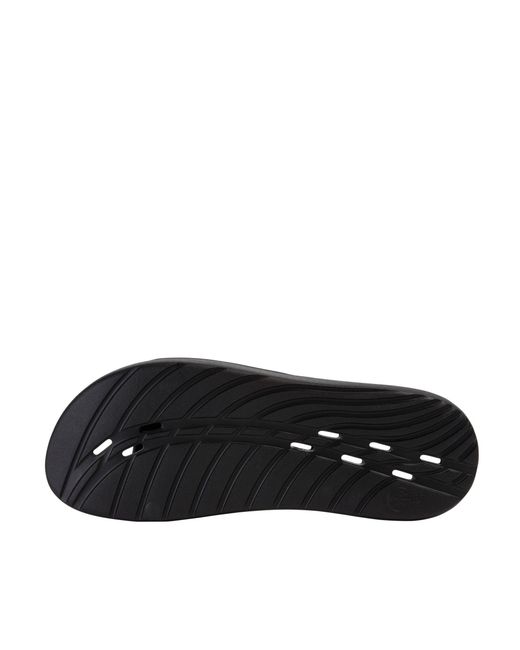 Speedo Black Slider for men