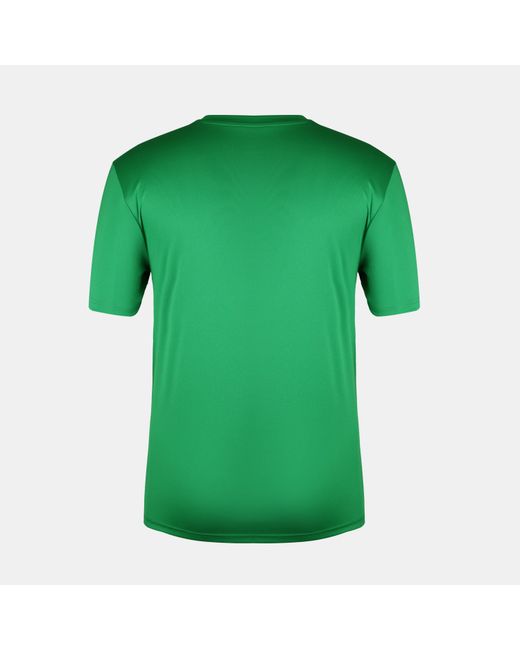 Fifa Green Republic Of Ireland Short Sleeve T-Shirt for men