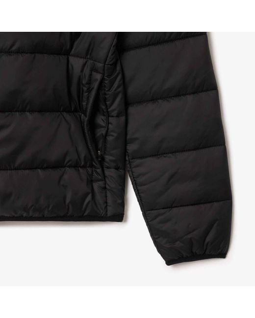 Lacoste Black Core Regular Fit Color Block Puffer Jacket for men