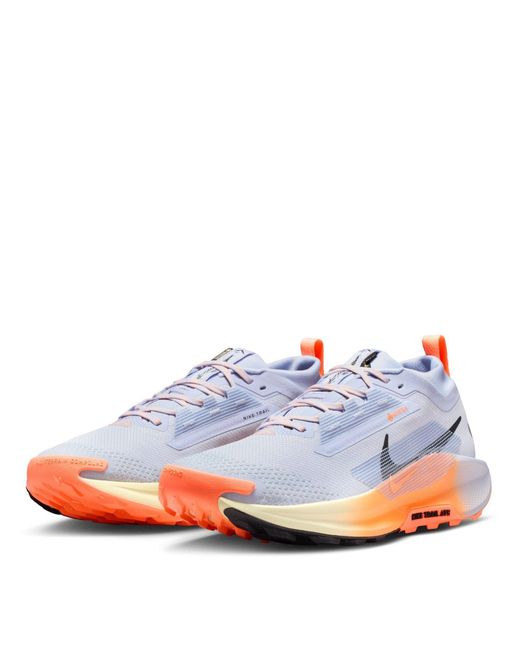 Nike Blue Pegasus Trail 5 Gore-Tex Running Shoes for men