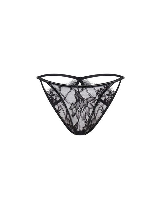 Agent Provocateur Black Alyss Full Brief
