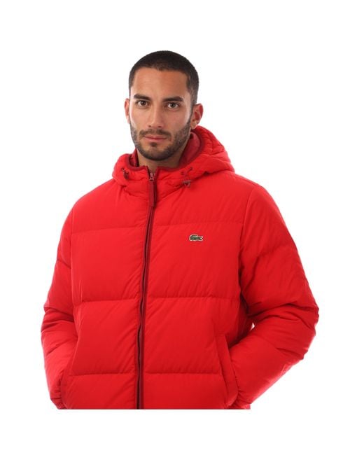 Lacoste Red Heavyweight Quilted Puffer Jacket for men