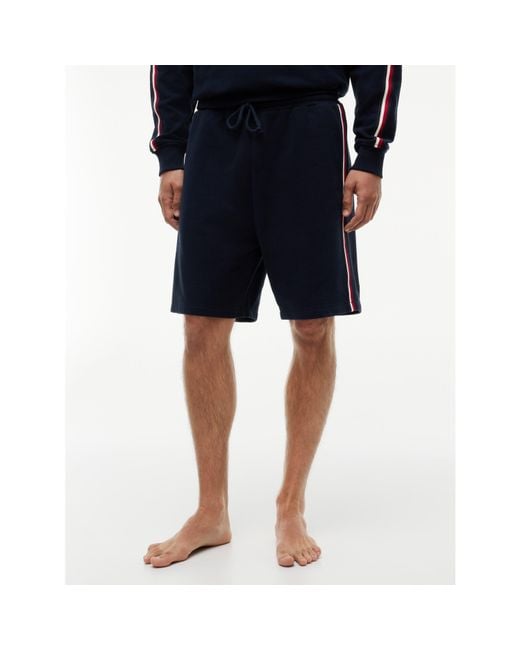 Tommy Hilfiger Blue Global Stripe Short for men