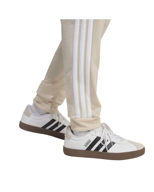 Adidas Natural Full Tracksuit for men