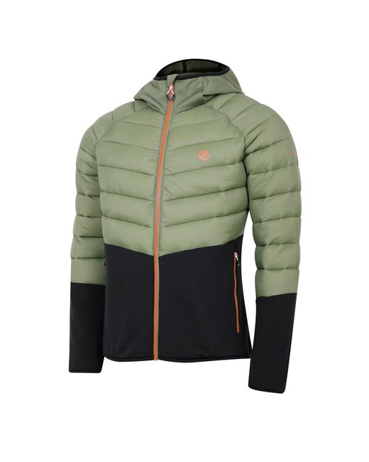 Dare 2b Multicolor Torrekhybrid Insulated Puffer Jacket for men