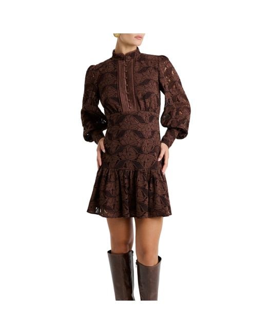Bardot Brown Bd Remy Dress Ld64