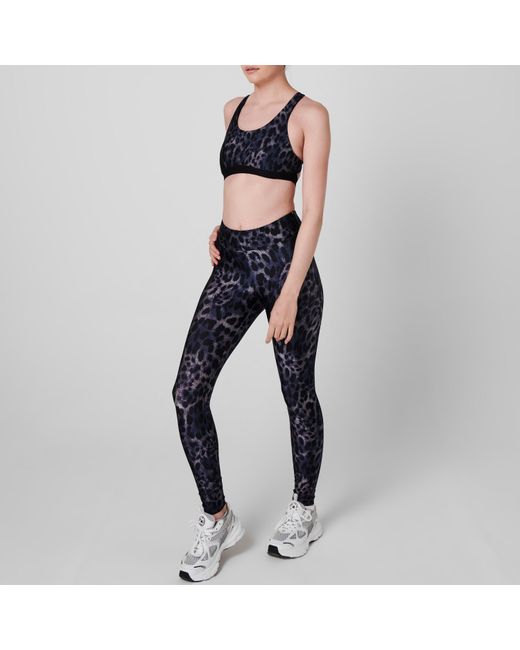 Koral Blue Tax Cheetah Bra