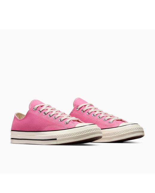 Converse Pink Adults Chuck 70 Canvas Trainers