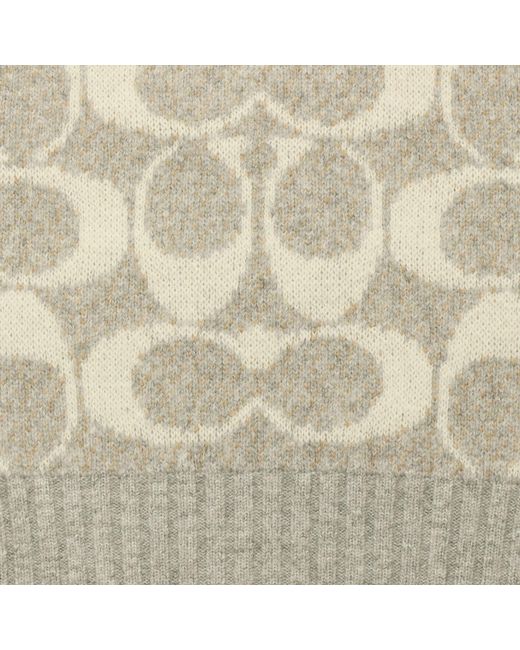 COACH White Jumbo Signature C Scarf