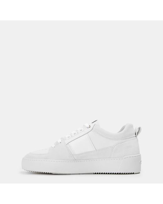 Android Homme White Point Dume Low-Top Trainers for men
