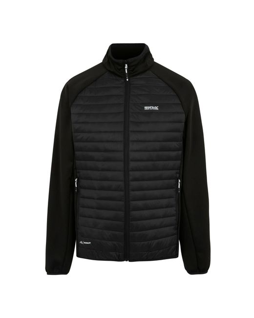 Regatta Black Clumber Hybrid for men