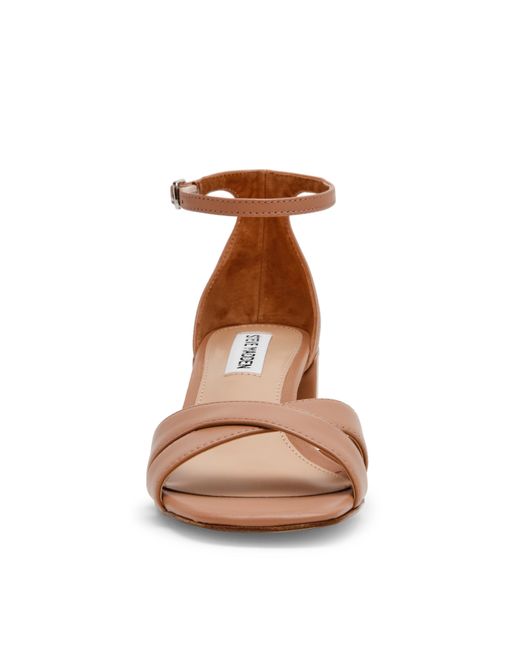 Steve Madden Brown Heeled Sandals