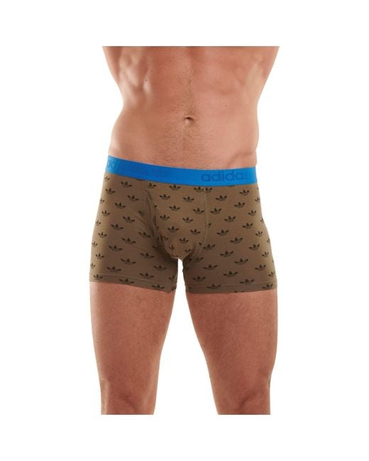 Adidas Originals Blue Originals Comfort Flex Cotton 2-Pack Boxer for men
