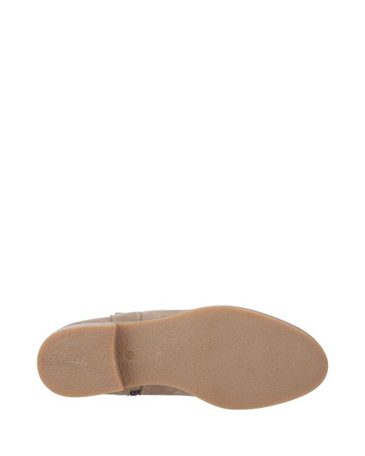 Cotswold Brown Signet Ankle Boots