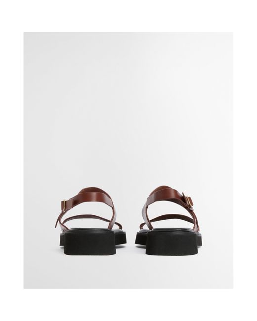 Barbour Brown Dakota Sandal