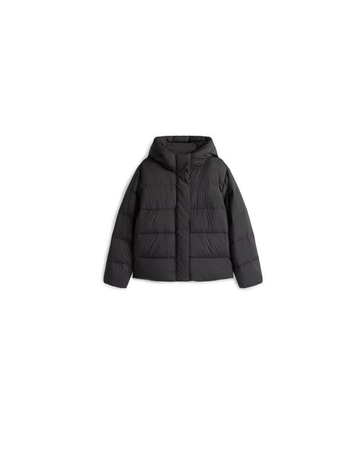 Tommy Hilfiger Black Down Short Puffer Jacket