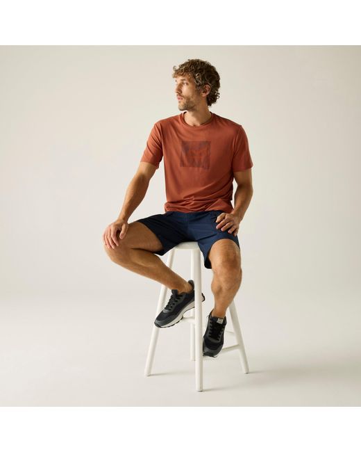 Regatta Brown Fingal Tee Short Sleeve Performance T-Shirt for men