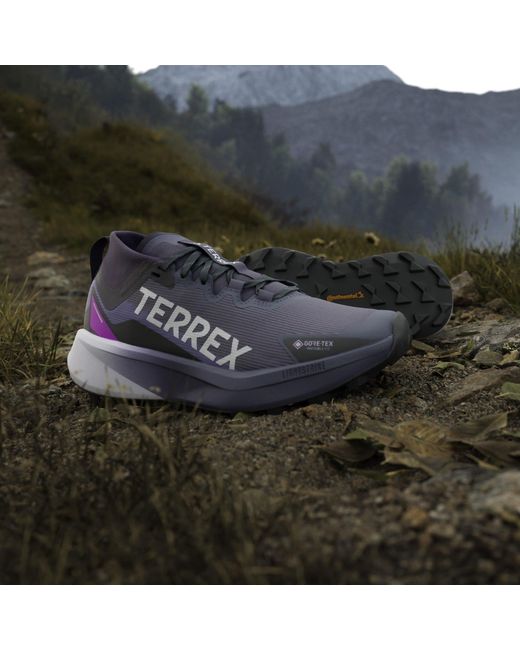 Adidas Blue Terrex Agravic Gtx Trail Running Shoes