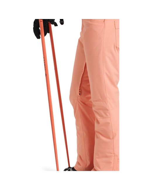 Roxy Pink Backyard Snow Ski Trousers