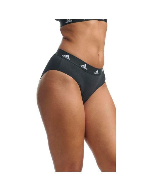Adidas Purple Tai Full Brief Underwear