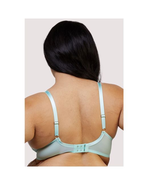 Playful Promises Green Valerie Embroidery & Mesh Plunge Bra