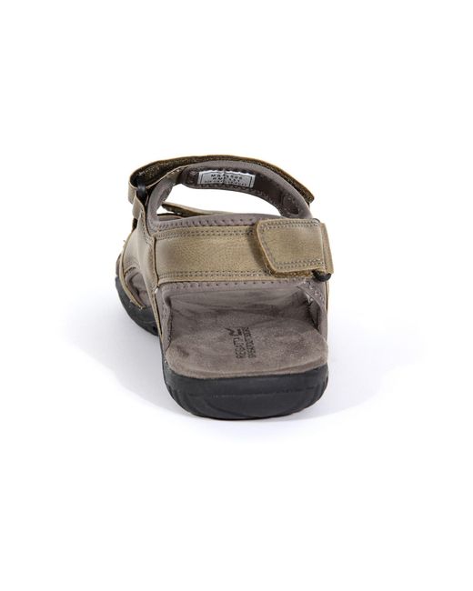 Regatta Brown Haris for men
