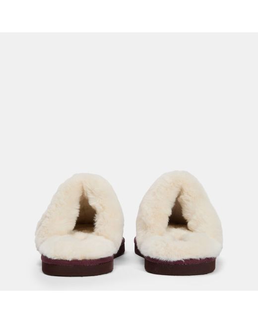 Barbour Multicolor Claudia Mule Slippers