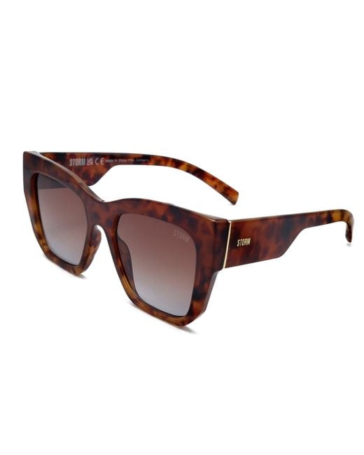 Storm Brown Square Sunglasses