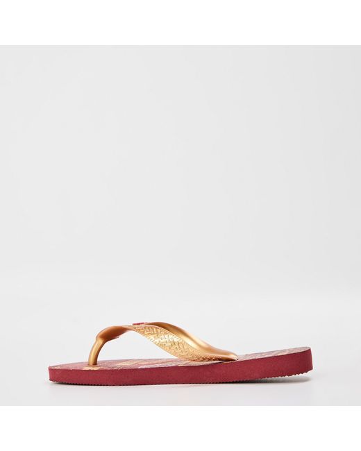 Havaianas Brown Licences Flip Flops
