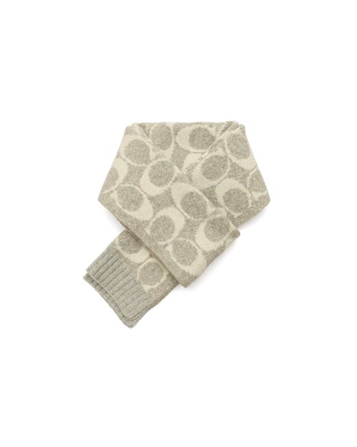 COACH White Jumbo Signature C Scarf
