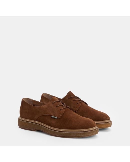 Barbour Brown Harefield Derby Shoes for men
