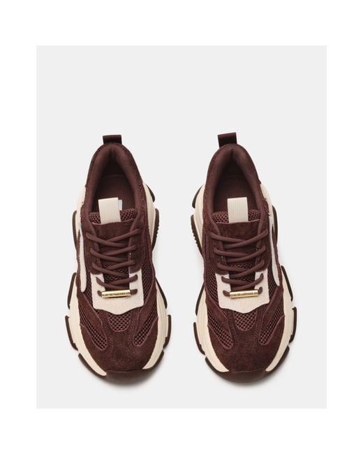 Steve Madden Brown Madden Possesion Ld64