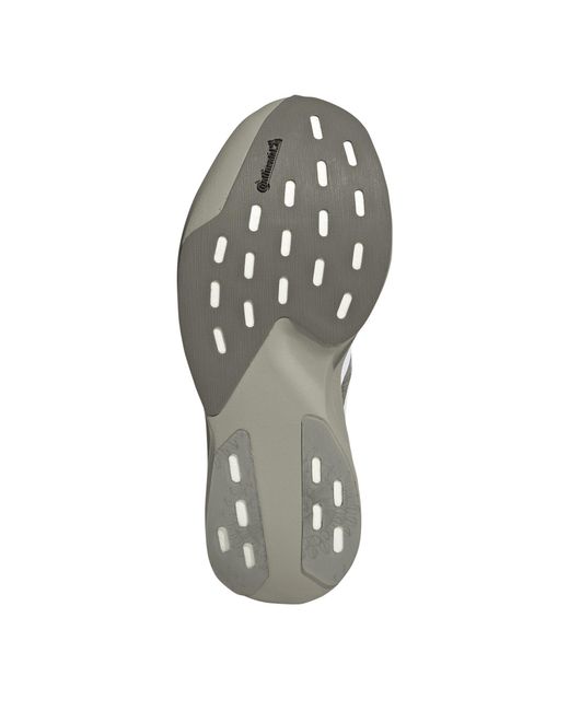 Adidas Gray X Labrum Adizero Evo Sl