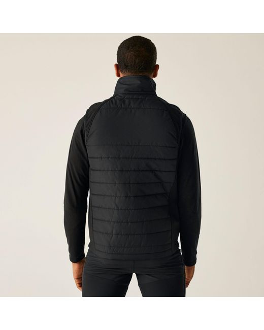 Regatta Black Pro Universal Bodywarmer for men