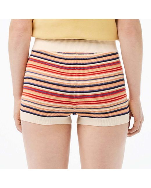 Lacoste Red Contrast Waist Striped Cotton Shorts