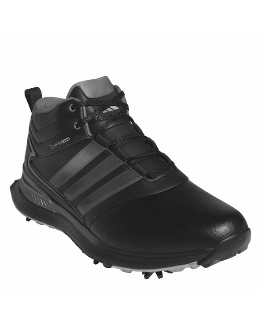 Adidas Brown Spiked Golf Shoes for men