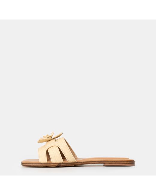 ALDO Natural Seaflower Pool Sliders