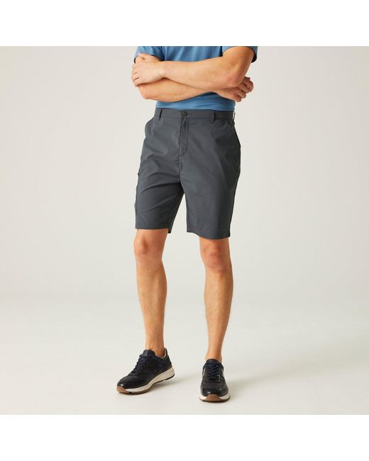 Regatta Gray Dalry Short for men