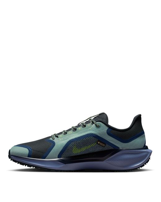 Nike Blue Pegasus 41 Gore-Tex Waterproof Road Running Shoes for men