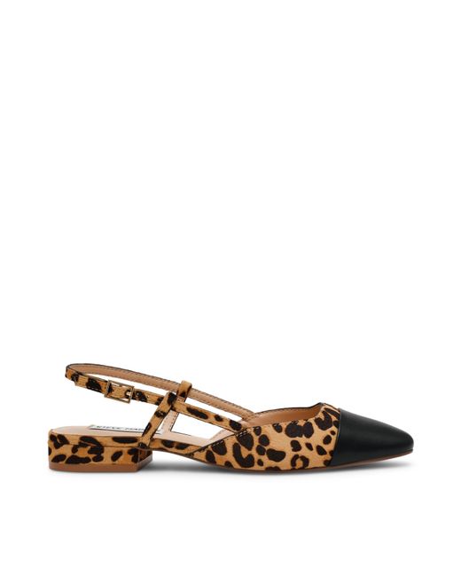 Steve Madden Brown Belinda Flat Shoes