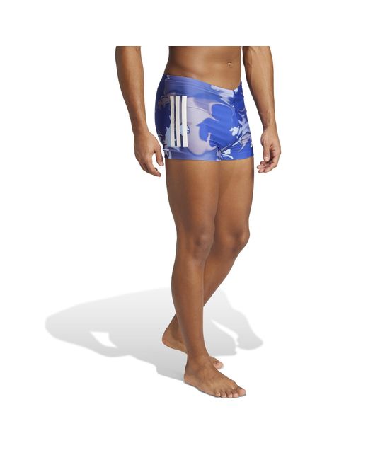 Adidas Blue Graphic Swim Boxers for men