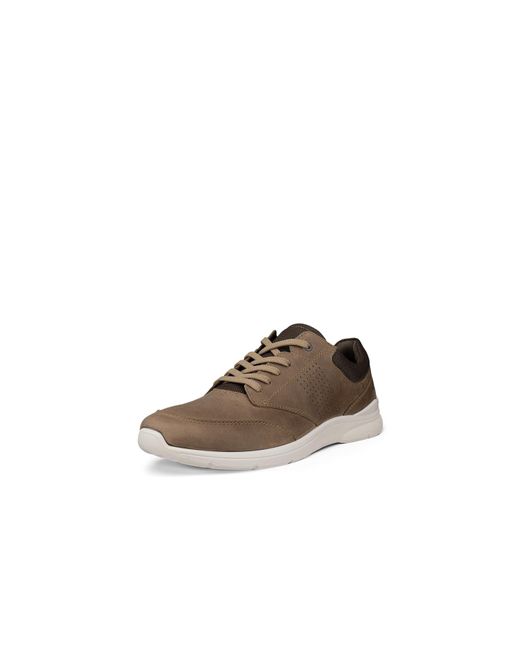 Ecco Brown Irving for men